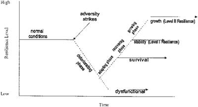 Reactivity and Adaptability: Applying Gender and Age Assessment to the Leader Resilience Profile®